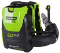 Greenworks GD60BPB