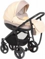 Rudis Solo 2 in 1