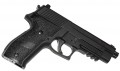 Sig Sauer P226