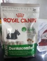 Royal Canin Mini Dermacomfort 3 kg