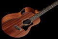 Harley Benton GS-Travel-E Mahogany