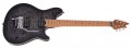 EVH Wolfgang Special QM