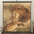 VidaXL Screen 165x170