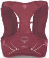 Osprey Dyna LT WM