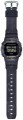 Casio G-Shock DW-5600WS-1
