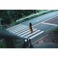 Sony 28-70mm f/2.0 GM FE