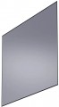 Wanbo Fresnel ALR Screen