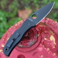 Spyderco Bodacious BB