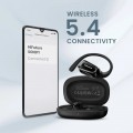 HiFuture Sonify
