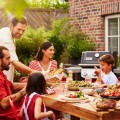 Weber Spirit E-325