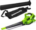 Greenworks GD24X2BV 2405307