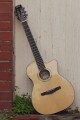 Cort Gold OC8 Nylon