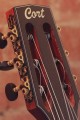 Cort Gold OC8 Nylon