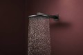 Hansgrohe Raindance Alive S 300 24540000