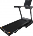 Generation Fitness Cervus