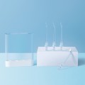 Xiaomi Mijia Water Flosser Nozzle 4 pcs