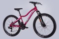Discovery Kelly DD FR 26 2025
