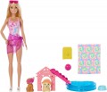 Barbie Puppy Pool Party JBF35
