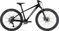 Winner Solid FX 26 2025