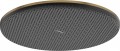 Hansgrohe Raindance Alive S 300 24595000