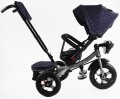 Best Trike 6088