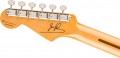 Fender Dave Murray Stratocaster