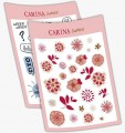 Carina Junior