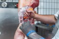 F.DICK MasterGrip 82882130-53