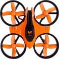 FuriBee F36