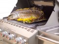 Weber Summit S-670 GBS