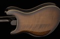 PRS SE Hollowbody II