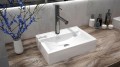 REA Xara 460