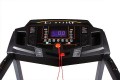 Hertz Active
