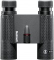 Bushnell Nitro 10x25