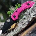 Spyderco Dragonfly 2 S30V BK