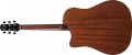 Ibanez AAD440CE