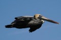 Tamron 70-300 f/4.5-6.3 RXD Di III