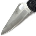 Spyderco Pacfic Salt 2
