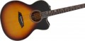 Sire Larry Carlton A4-G