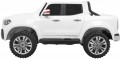 Pilot Mercedes Benz X-Class