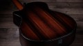 Taylor Builder's Edition 914ce WHB
