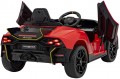 Pilot Lamborghini Invencible