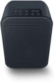 Bluesound Pulse Flex 2i