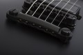 Schecter Solo-II SLS Elite Evil Twin