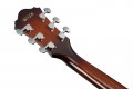 Ibanez AE160
