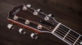 Taylor Legacy 815e