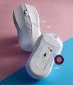 Rapoo V300 SE