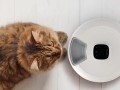 Petoneer NutriSpin