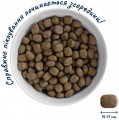 Home Food Puppy Medium/Maxi Trout 10 kg
