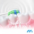 Maltec Toothie X1